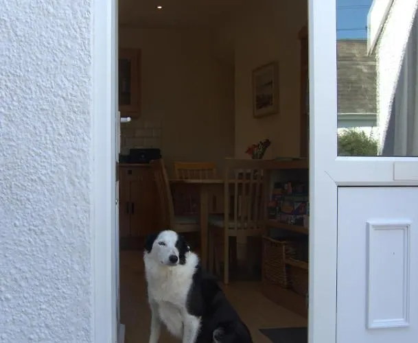 The Cwtch